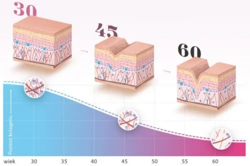 S complex : ประกอบด้วยส่วนผสมจากธรรมชาติเท่านั้น